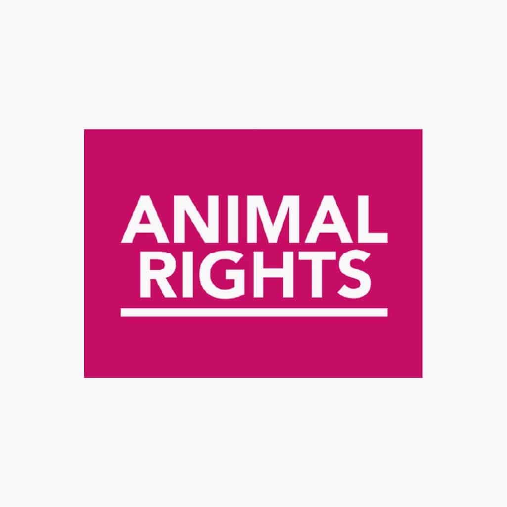 <strong>Donation of €25 to <a href="https://www.animalrights.nl/" target="_blank" class="gift-url">Animal Rights</a></strong><br />Stand up for the animals alongside Animal Rights by supporting their mission to value animals as individuals who have the right to life and well-being.